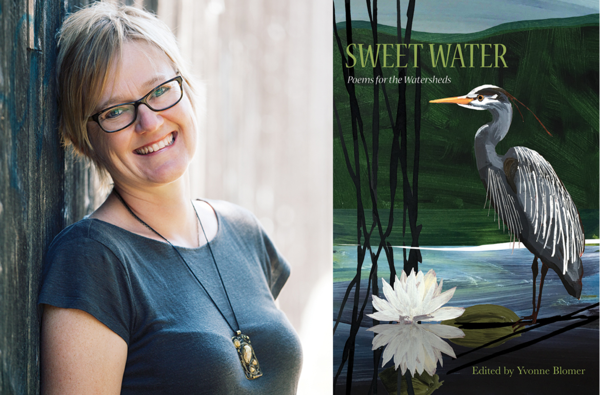 Composite image of author Yvonne Blomer and the cover of Sweetwate which features a heron standing in a green pond