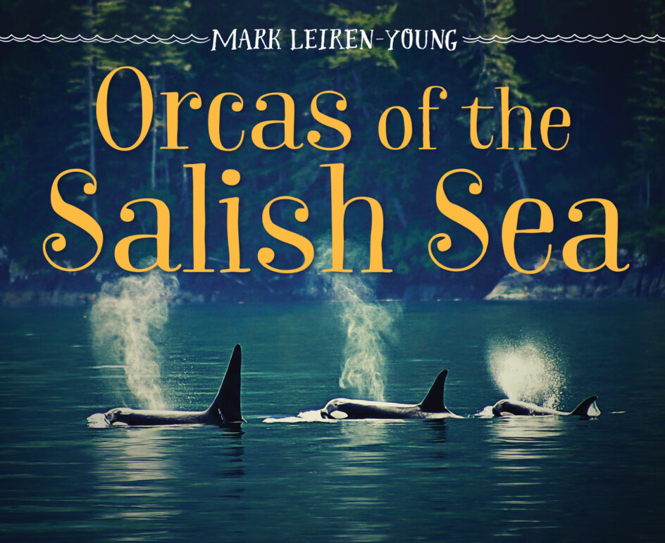 Cover for: Orcas of the Salish Sea
by Mark Leiren-Young (Orca Book Publishers)