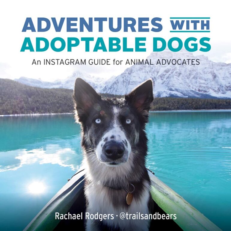 Adventures with Adoptable Dogs: An Instagram Guide for Animal Advocates by Rachael Rodgers (Rocky Mountain Books)