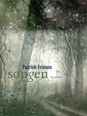Cover of "Songen" by Patrick Friesen