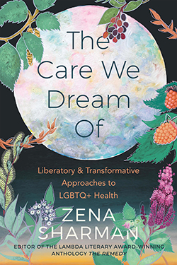 Cover of "The Care We Dream Of"