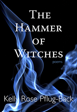 Cover of "The Hammer of Witches"