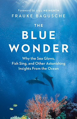 Cover of The Blue Wonder