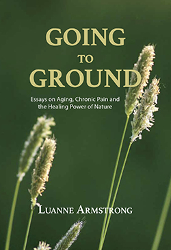 Cover of "Going to Ground"