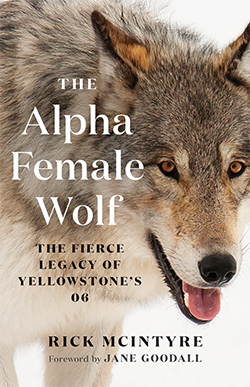 Cover of The Alpha Female Wolf: