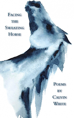 Cover of Facing the Sweating Horse