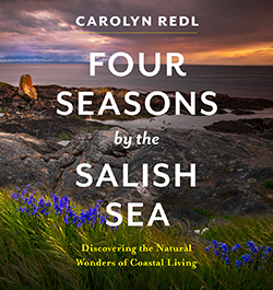 Cover of Four Seasons by the Salish Sea: Discovering the Natural Wonders of Coastal Living 