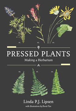 Cover of Pressed Plants