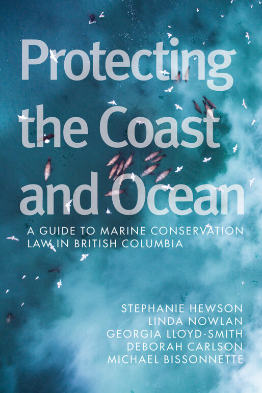 Protecting the coast and ocean book cover with an overhead shot of a school of fish and circling gulls partially blocked by clouds.