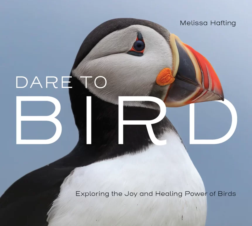 Dare to bird book cover with a close up of a puffin.