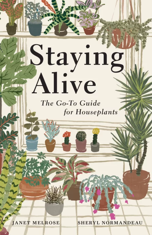 Staying alive book cover with cute illustrations of a plant filled room.